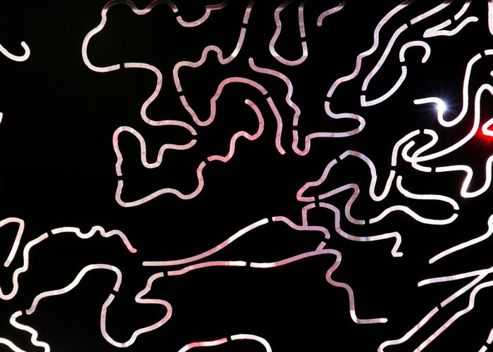 Abstract composition of flowing lines and nature elements